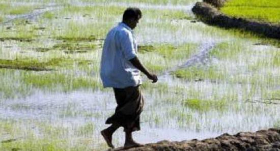 මහ කන්නයේ වගා කටයුතු ගැන සාකච්ඡාව ලබන 8 වැනිදා